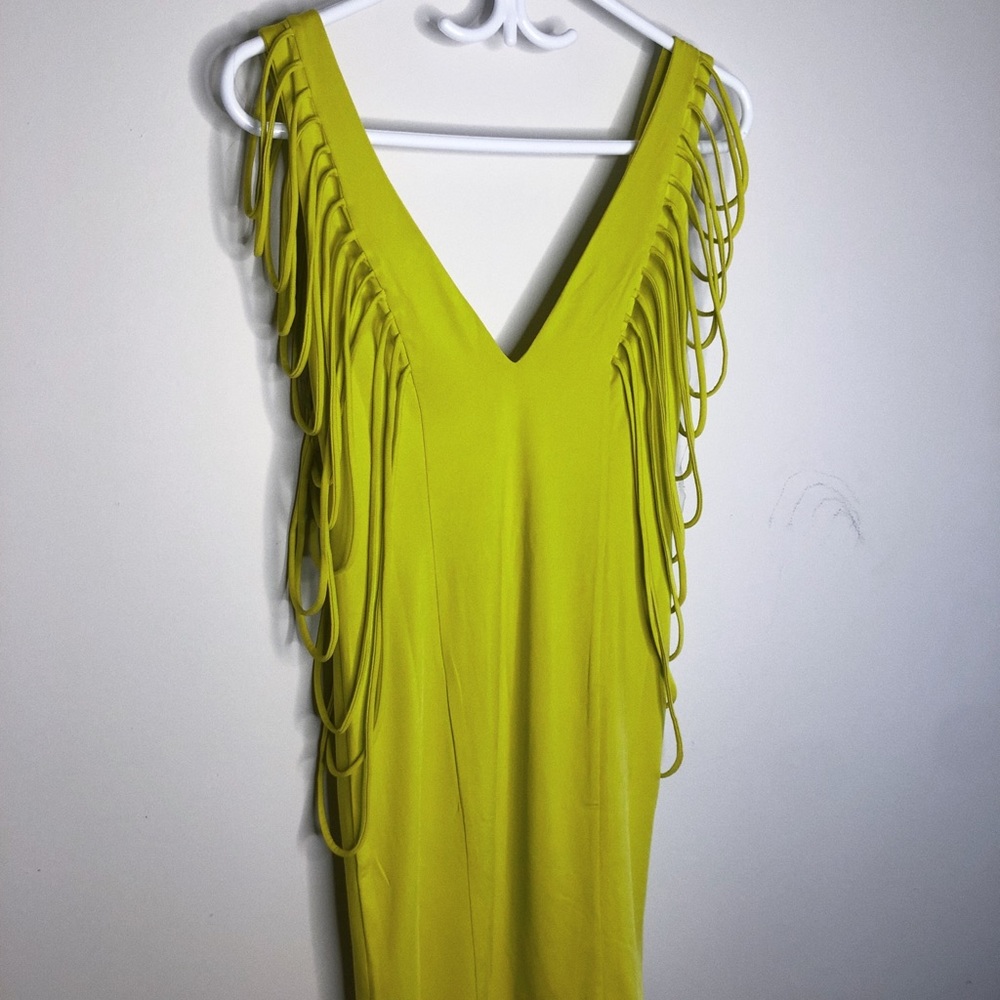Fashionnova dress